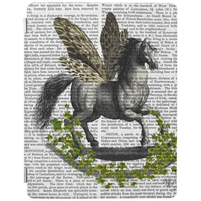 Rocking Horse Fly 2 iPad Air Cover (Front)