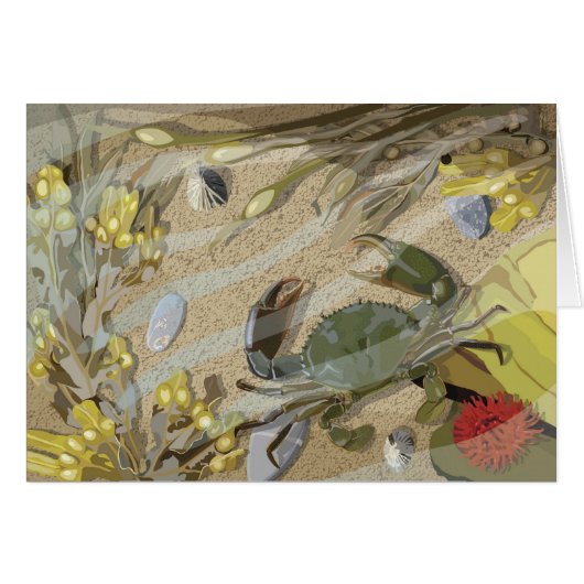 Rockpool Cards (Front Horizontal)
