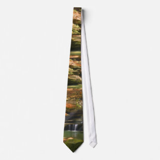 Rocks and Falls Neck Tie