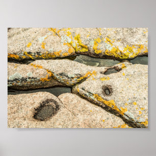 Rocks and Tide Pools in Maine Nature Archival Poster