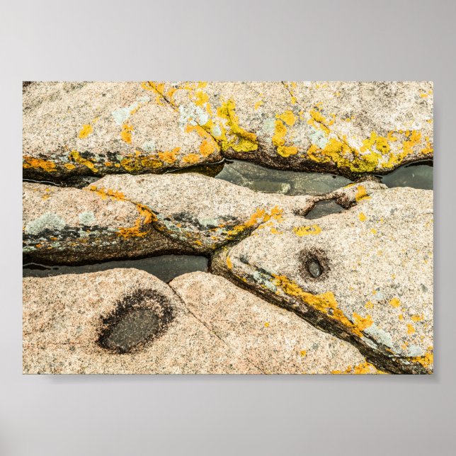 Rocks and Tide Pools in Maine Nature Archival Poster (Front)