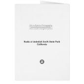 Rocks at Redwood Forest (Back)