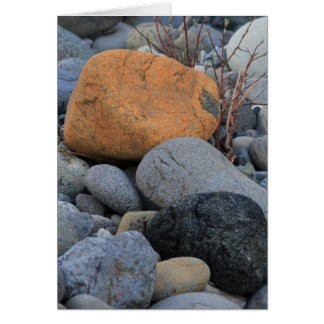 Rocks at Redwood Forest Cards