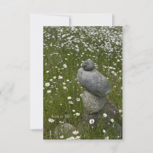 Rocks & Daisies Note Card (Front)
