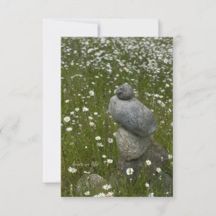 Rocks & Daisies Note Card
