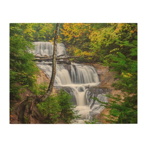 Rocks National Lakeshore Sable Falls Wood Wall Art