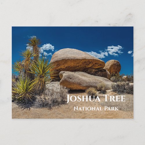 Rocks Plants Sand Joshua Tree National Park CA Postcard