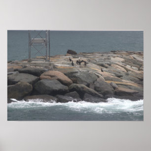 Rocks with Birds Ocean Waterscape Poster
