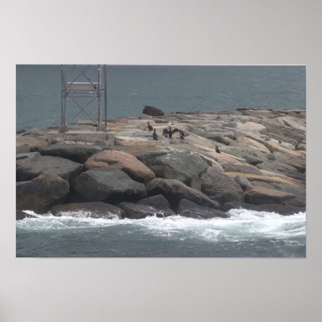 Rocks with Birds Ocean Waterscape Poster (Front)