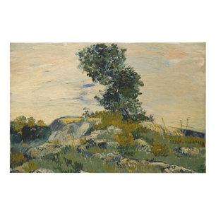 Rocks with Oak Tree, Van Gogh Oil Painting Wood Wall Art