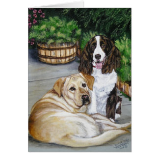 "Rocky and Teddy" Cards