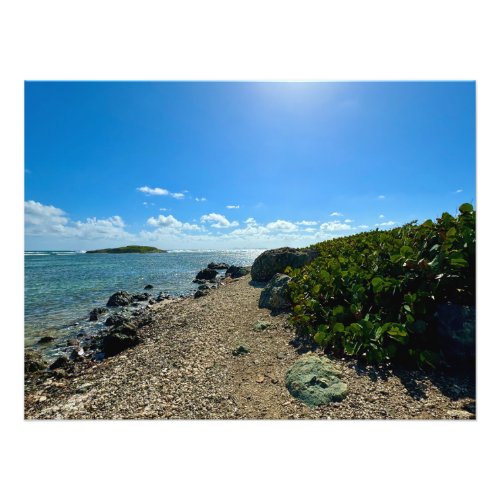 Rocky Beach and Seagrapes in St Martin Photo Print