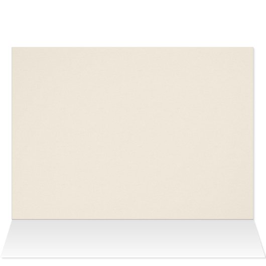 Rocky - Boxer Puppy (Inside Horizontal (Top))