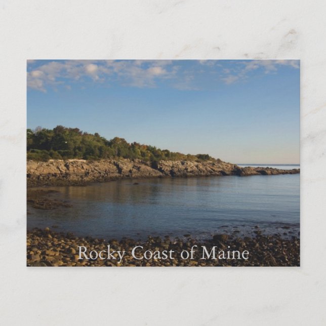 Rocky Coast of Maine  Postcard (Front)