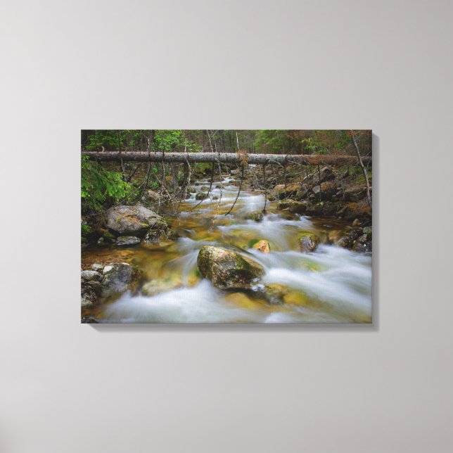 Rocky forest creek canvas print (Front)