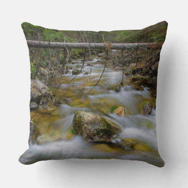Rocky forest creek throw pillow (Front)