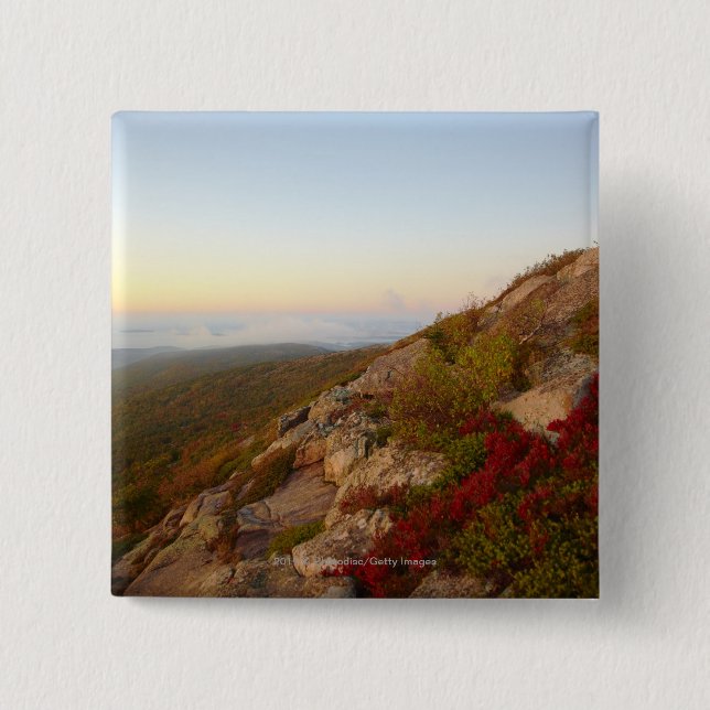 Rocky Hillside, Red Flowers, Acadia National Park Button (Front)