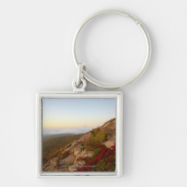 Rocky Hillside, Red Flowers, Acadia National Park Keychain (Front)