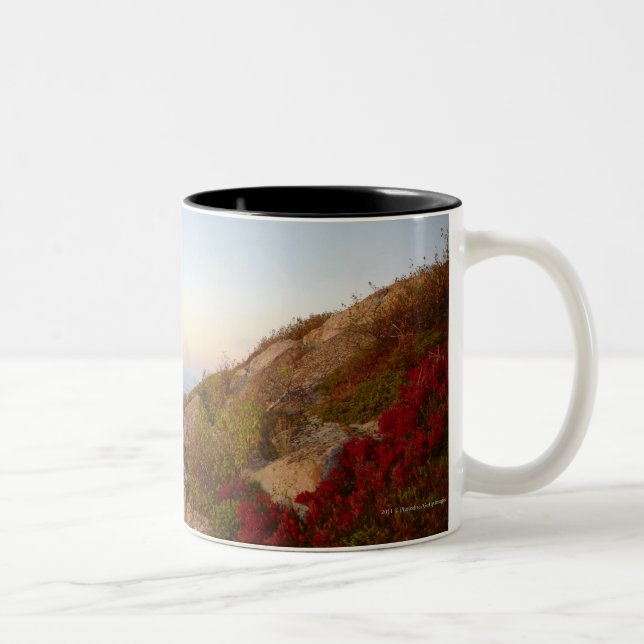 Rocky Hillside, Red Flowers, Acadia National Park Two-Tone Coffee Mug (Right)