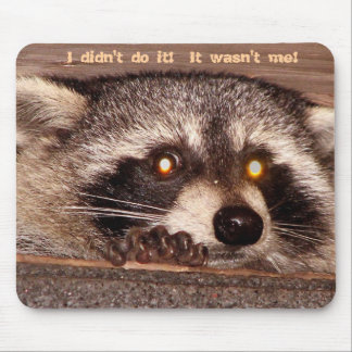 Rocky, I didn't do it!  It wasn't me! Mouse Pad