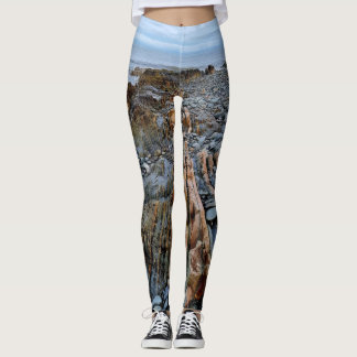 Rocky Leggings