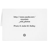 Rocky Mountain Bee Plant Cards (Back Horizontal)