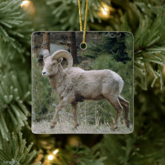 Rocky Mountain Big Horn Sheep Ceramic Ornament