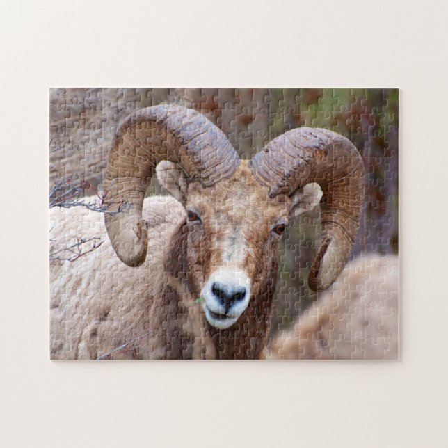 Rocky Mountain Bighorn Sheep Jigsaw Puzzle (Horizontal)