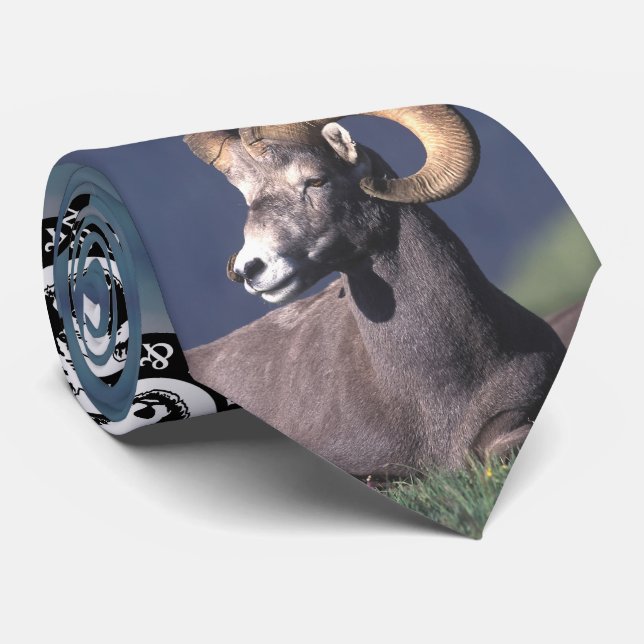 Rocky Mountain Bighorn Sheep Neck Tie (Rolled)