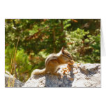 Rocky Mountain Chipmunk Cards