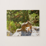 Rocky Mountain Chipmunk Jigsaw Puzzle