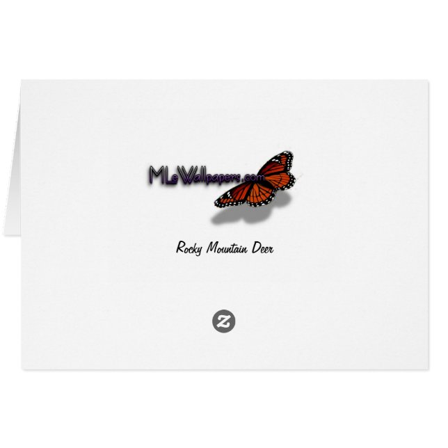 Rocky Mountain Deer Cards (Back Horizontal)