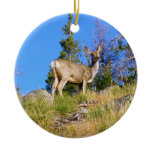 Rocky Mountain Deer Ceramic Ornament