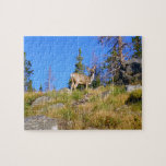 Rocky Mountain Deer Jigsaw Puzzle