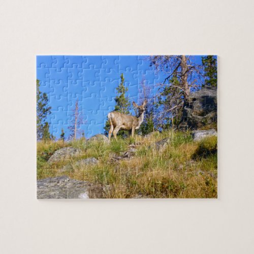 Rocky Mountain Deer Jigsaw Puzzle