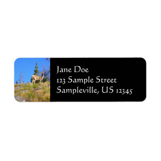 Rocky Mountain Deer Label