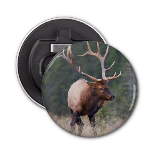 Rocky Mountain Elk Bottle Opener