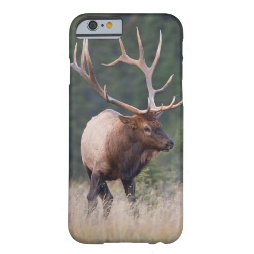 Rocky Mountain Elk Barely There iPhone 6 Case