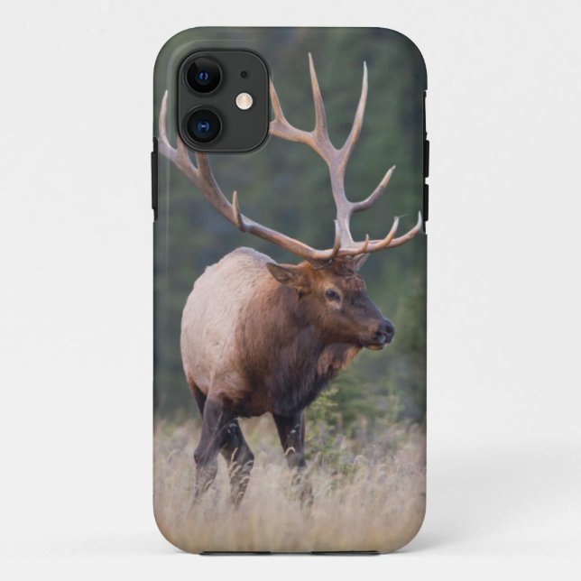 Rocky Mountain Elk Case-Mate iPhone Case (Back)