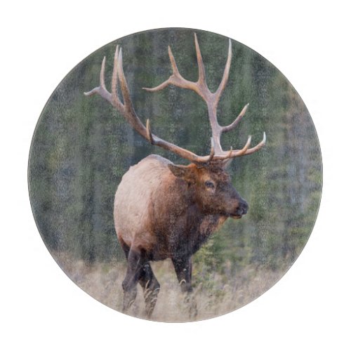 Rocky Mountain Elk Cutting Board