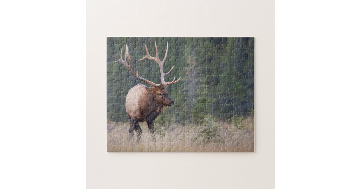 Rocky Mountain Elk Jigsaw Puzzle | Zazzle