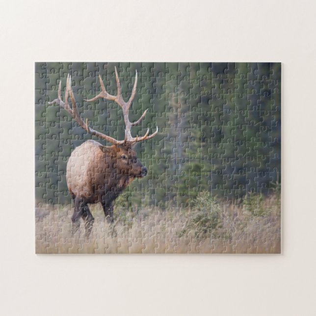 Rocky Mountain Elk Jigsaw Puzzle (Horizontal)