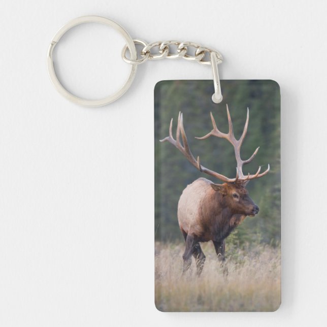 Rocky Mountain Elk Keychain (Front)