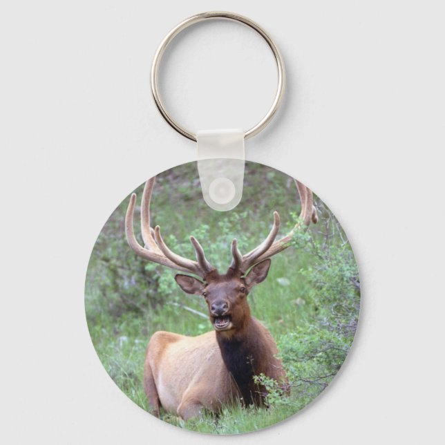 Rocky Mountain Elk Keychain (Front)