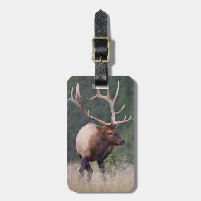 Rocky Mountain Elk Luggage Tag (Front Vertical)