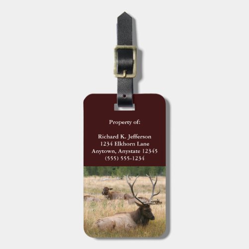 Rocky Mountain Elk Luggage Tag