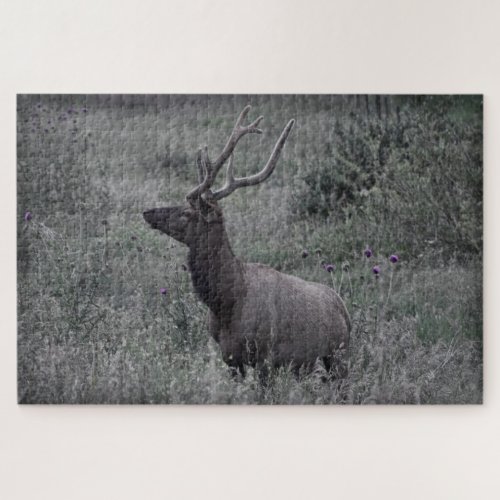 Rocky Mountain Elk _ RMNP _ 20x30 _ 1014 pcs Jigsaw Puzzle