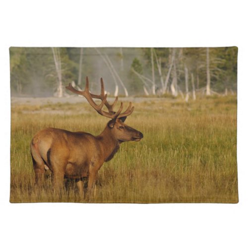 Rocky Mountain Elk  Yellowstone National Park Cloth Placemat