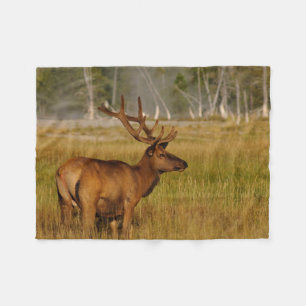 Rocky Mountain Elk Yellowstone National Park Fleece Blanket
