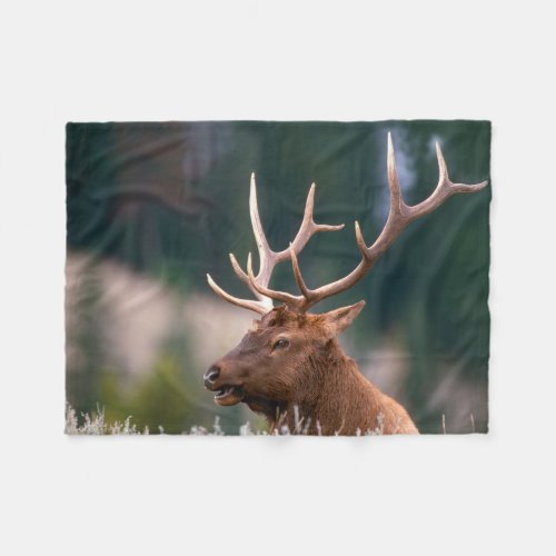 Rocky Mountain Elk Yellowstone National Park Fleece Blanket